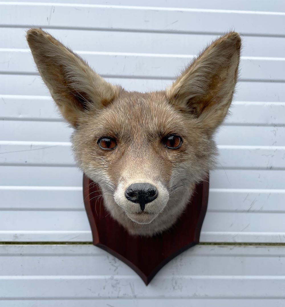 Opgezette KOP VOS op houten schild
