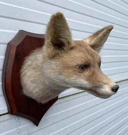 Opgezette KOP VOS op houten schild