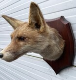 Opgezette KOP VOS op houten schild
