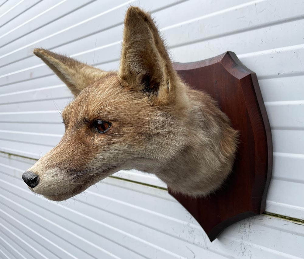 Opgezette KOP VOS op houten schild