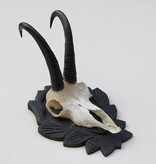 GEMS hoorns / gewei op fraai bewerkt schild