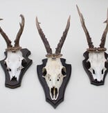 3 x  REE GEWEI op houten schild