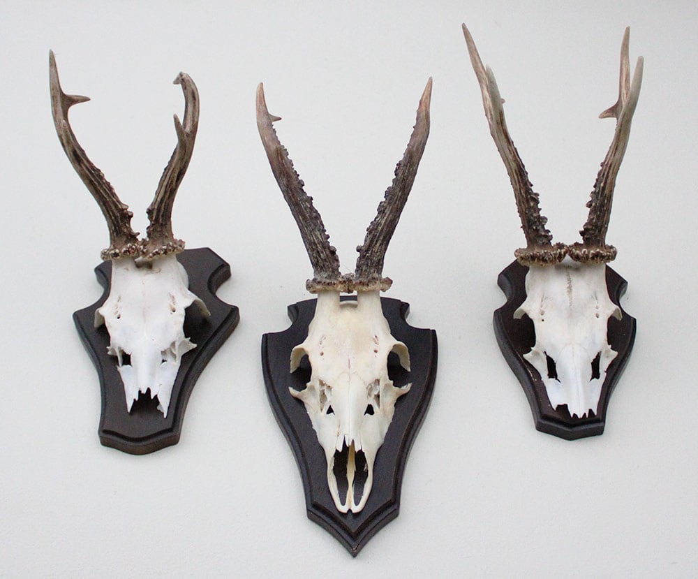 3 x  REE GEWEI op houten schild