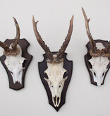 3 x  REE GEWEI op houten schild