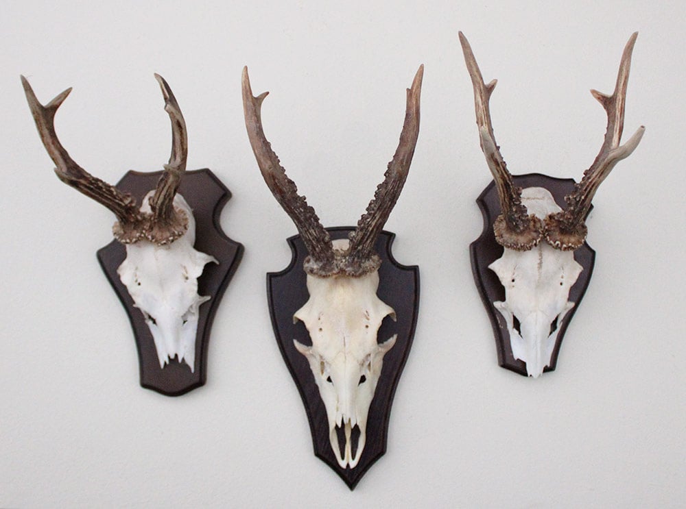 3 x  REE GEWEI op houten schild