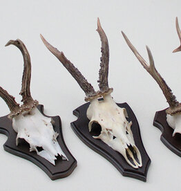 3 x REE GEWEI op  houten schild -  set G