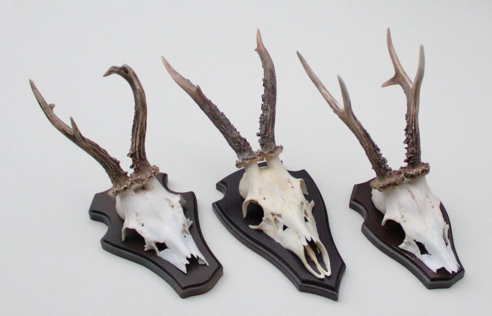 3 x  REE GEWEI op houten schild