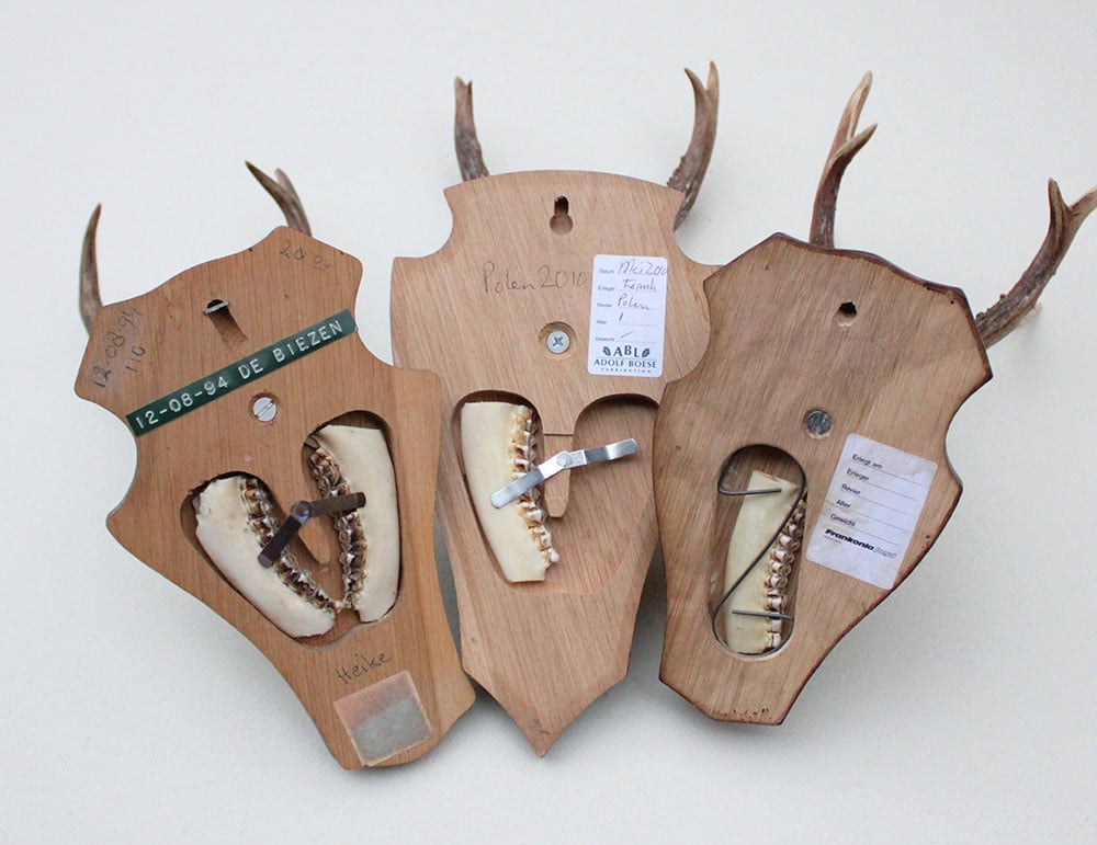 3 x  REE GEWEI op houten schild