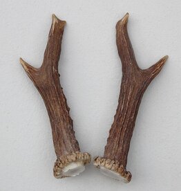 REE GEWEI PAAR 14 cm - Ref. P