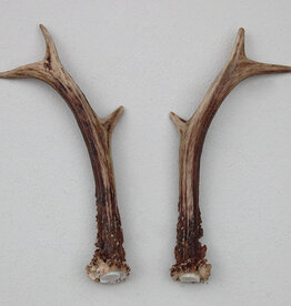 REE GEWEI PAAR 17 cm - Ref. E