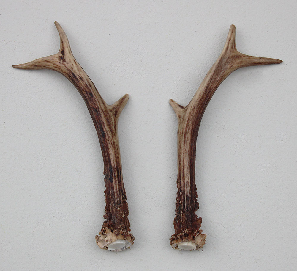 REE GEWEI PAAR 17 cm