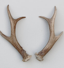 REE GEWEI PAAR 19 cm - ref. J