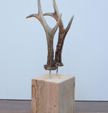 Zesender REE GEWEI paar op stevige houten sokkel