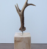 Zesender REE GEWEI paar op stevige houten sokkel