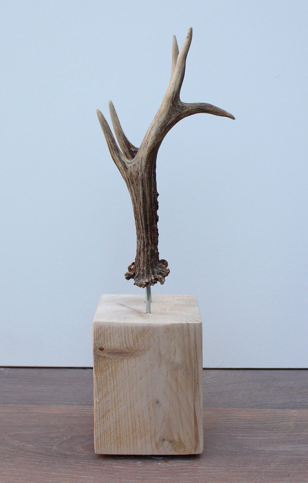 Zesender REE GEWEI paar op stevige houten sokkel