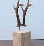 Zesender REE GEWEI paar op stevige houten sokkel