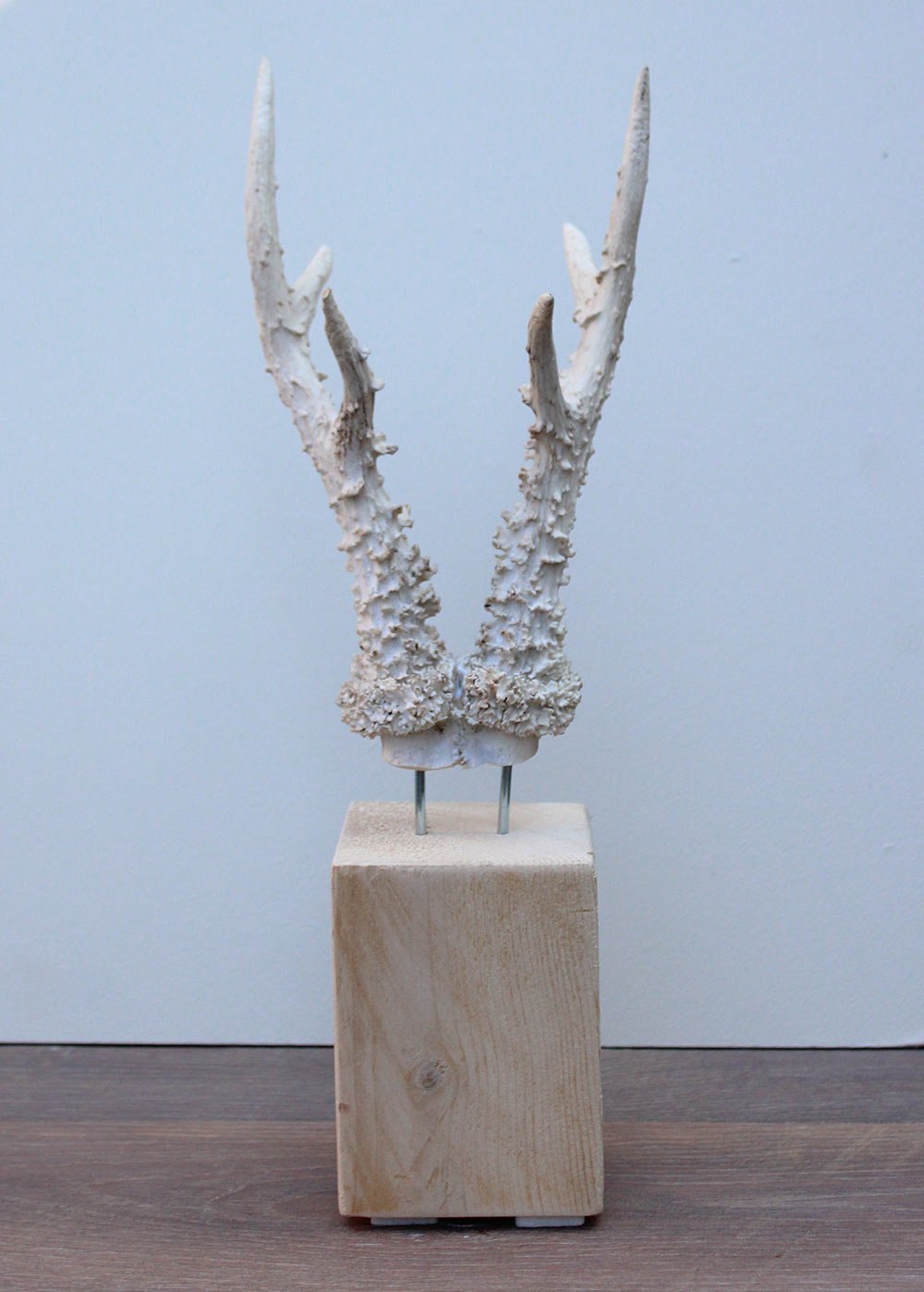 Groot zesender REE GEWEI op houten sokkel