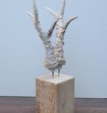 Groot zesender REE GEWEI op houten sokkel