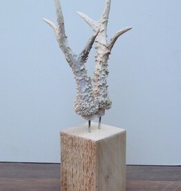 Groot zesender REE GEWEI op houten sokkel - ref. 5