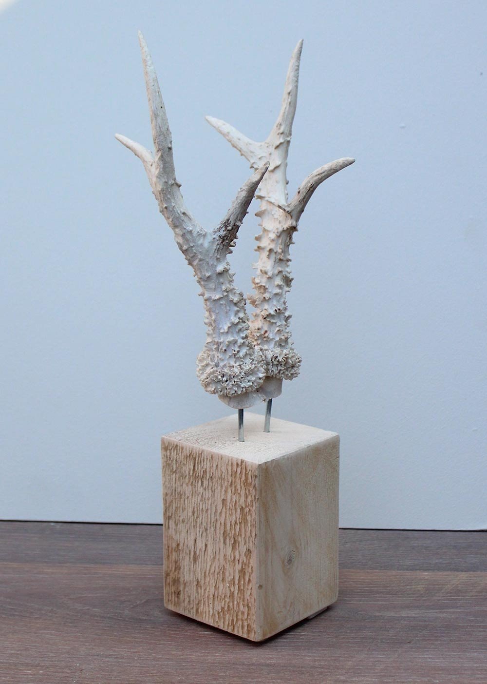 Groot zesender REE GEWEI op houten sokkel