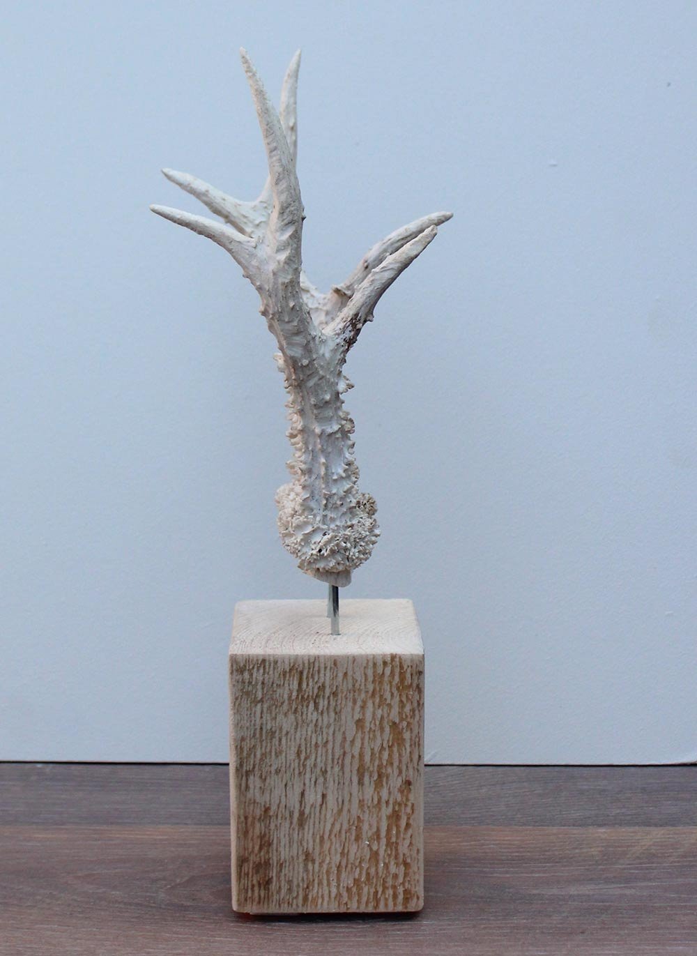 Groot zesender REE GEWEI op houten sokkel