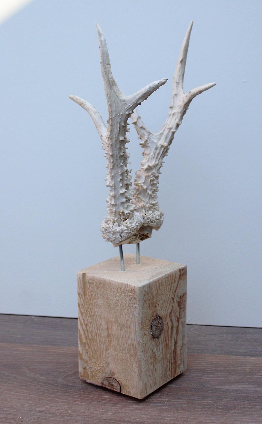 Groot zesender REE GEWEI op houten sokkel