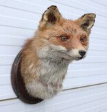 Opgezette KOP VOS op houten schild