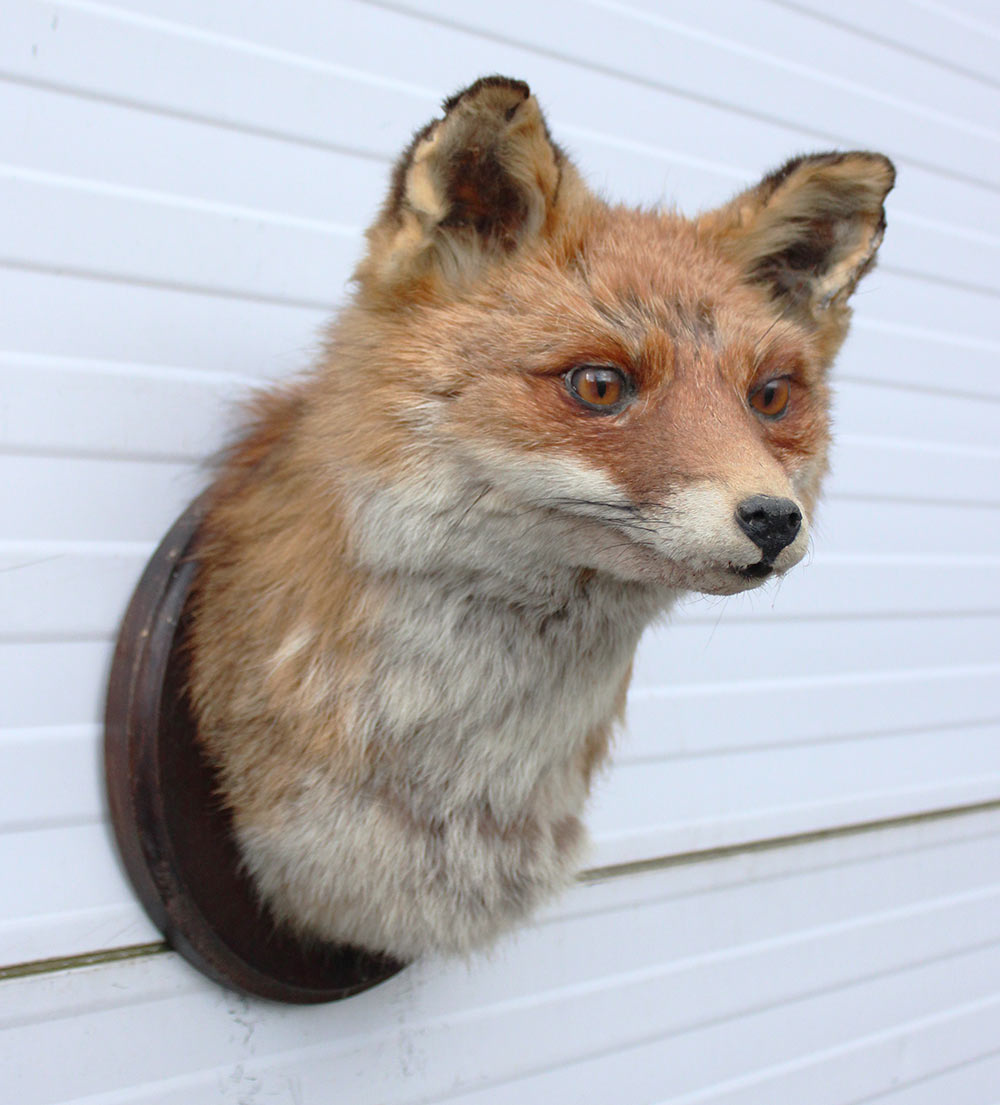 Opgezette KOP VOS op houten schild