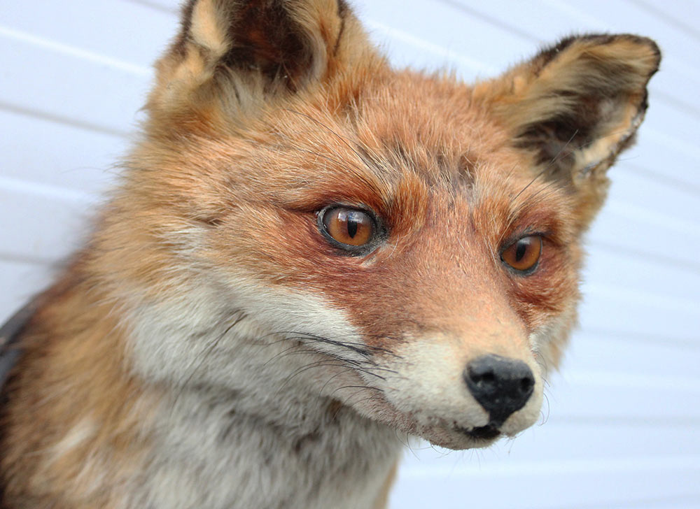 Opgezette KOP VOS op houten schild