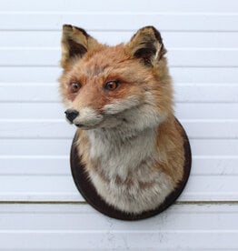 Opgezette KOP VOS op houten schild