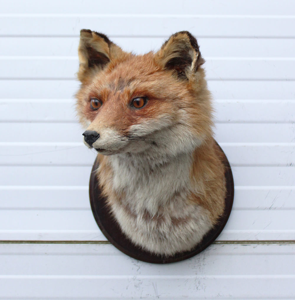 Opgezette KOP VOS op houten schild