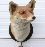 Opgezette KOP VOS op houten schild - met staart