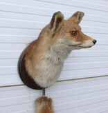 Opgezette KOP VOS op houten schild - met staart