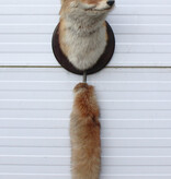 Opgezette KOP VOS op houten schild - met staart