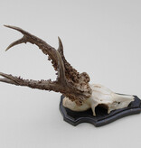 Zwaar gepareld zesender REE GEWEI op houten schild