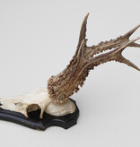 Zwaar gepareld zesender REE GEWEI op houten schild