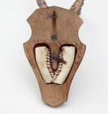 Zwaar gepareld zesender REE GEWEI op houten schild