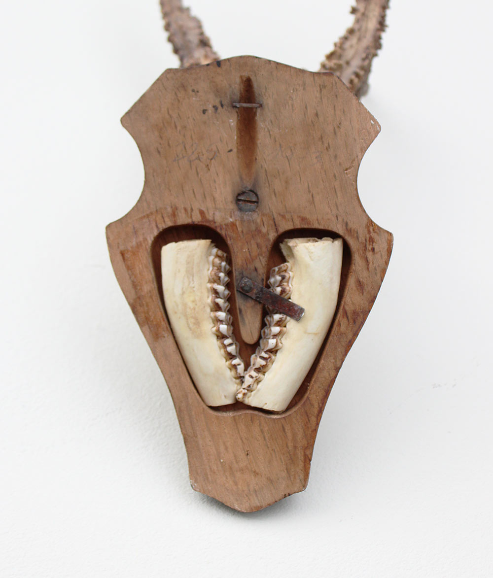 Zwaar gepareld zesender REE GEWEI op houten schild