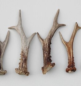 5 afwerp stangetjes REE GEWEI 13-19 cm- ref. B