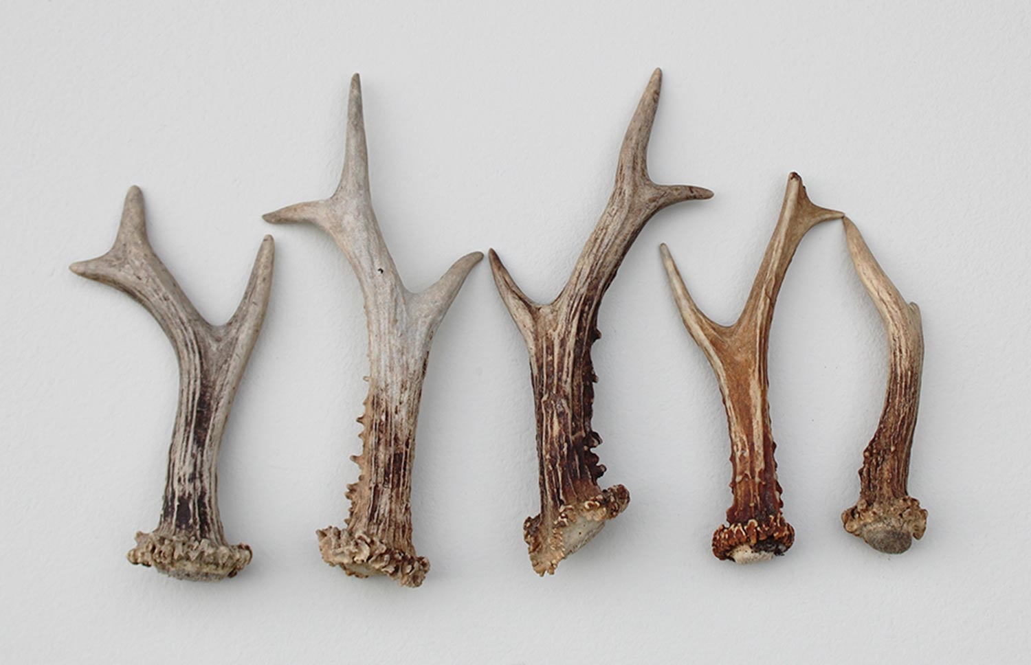 5 afwerp stangetjes REE GEWEI 13-19 cm