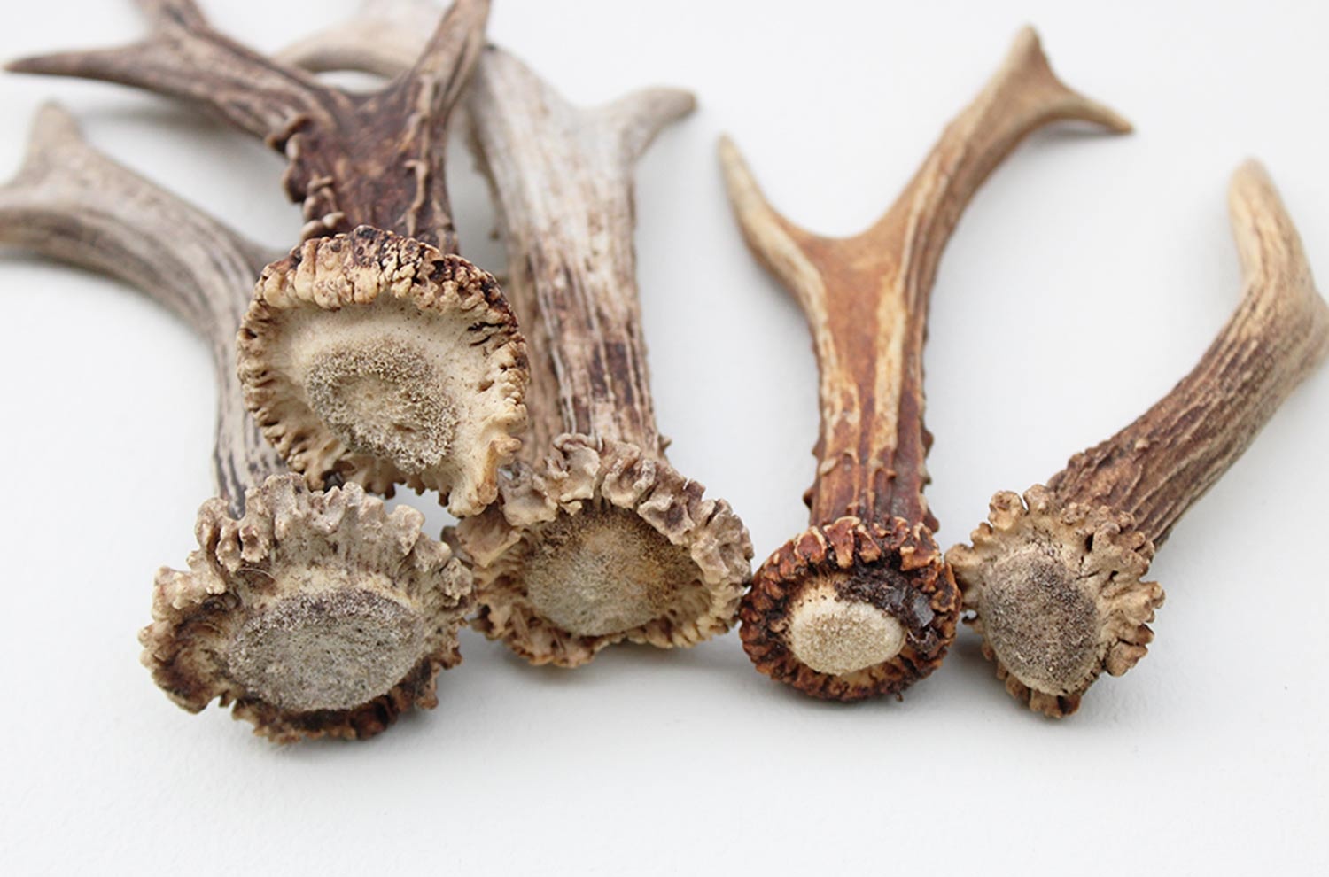 5 afwerp stangetjes REE GEWEI 13-19 cm