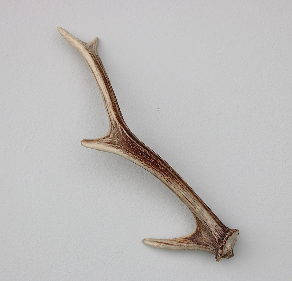 Afwerp  GEWEI SIKA HERT 30 cm