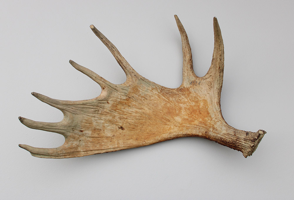 Grote afwerpstang ELAND GEWEI Zweden