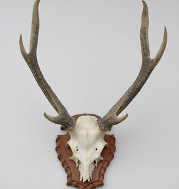 GEWEI  SIKA HERT op schild