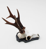 Groot zesender REE GEWEI op houten schild - 416 gr