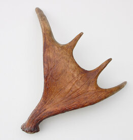 Afwerpstang ELAND GEWEI Zweden - ref. A