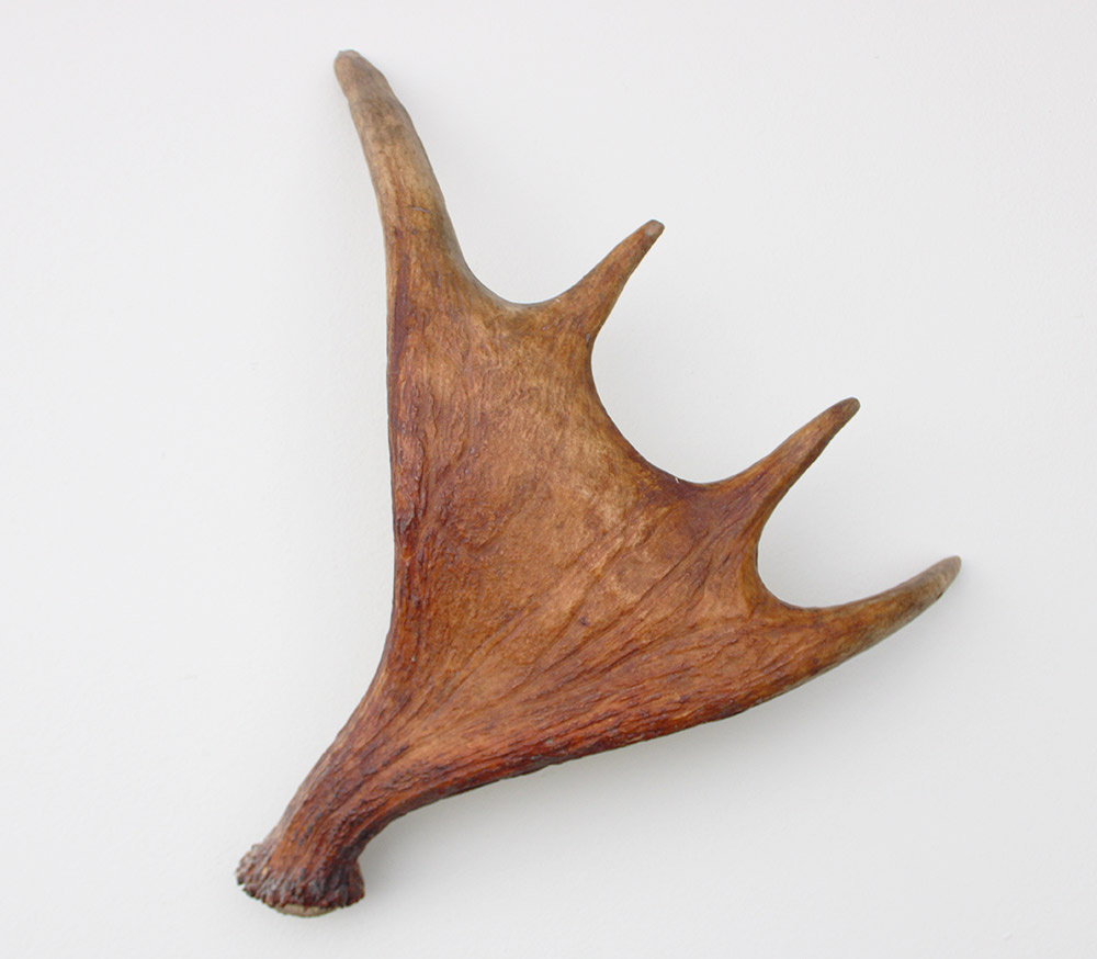 Afwerpstang ELAND GEWEI Zweden