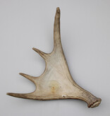 Afwerpstang ELAND GEWEI Zweden