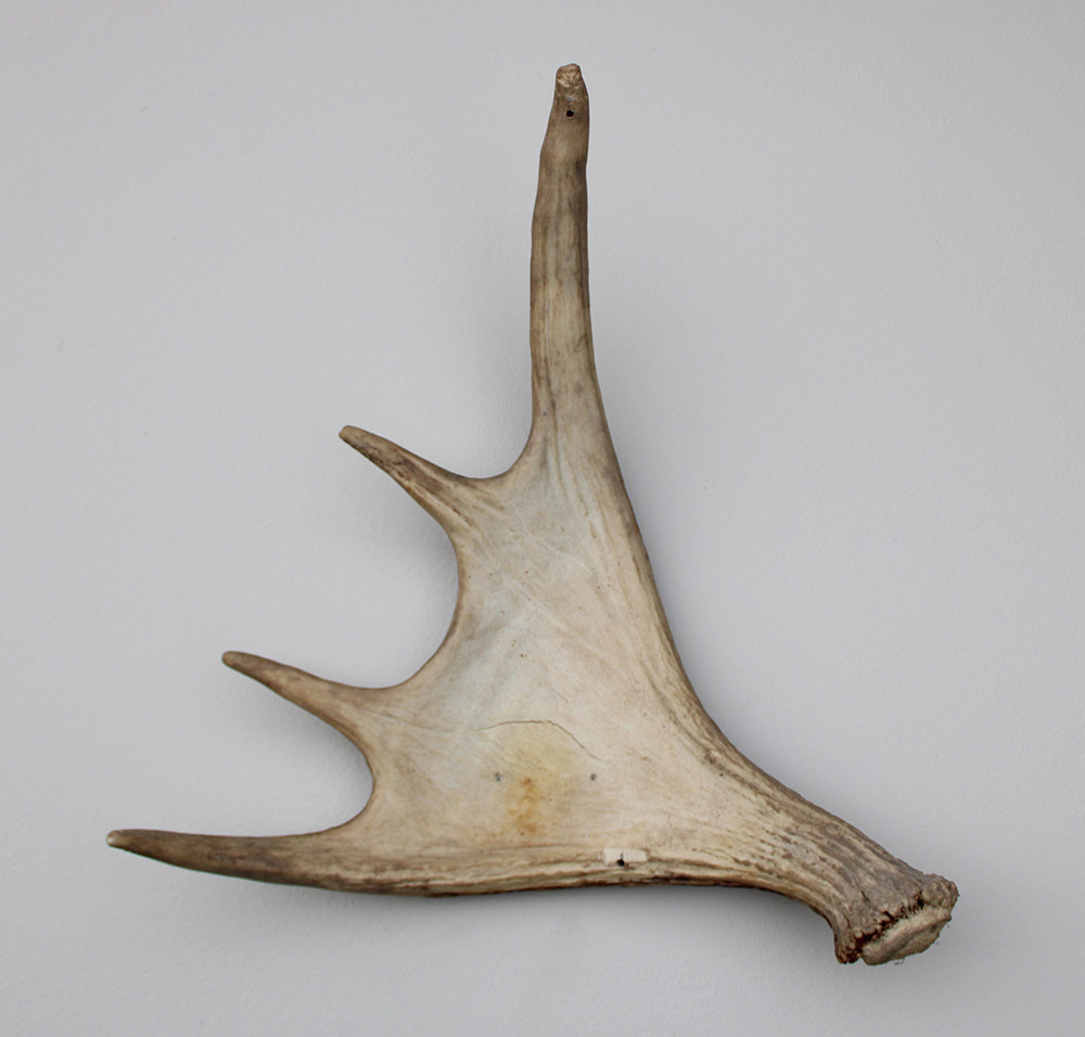 Afwerpstang ELAND GEWEI Zweden