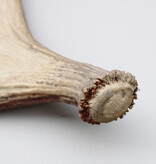 Afwerpstang ELAND GEWEI Zweden